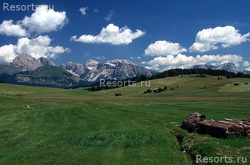Hotel Scherlin 29